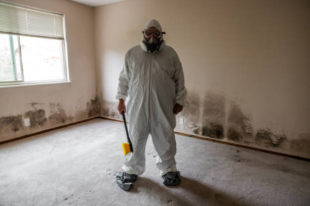 Mold Removal for HVAC Installations in Ives Estates, FL